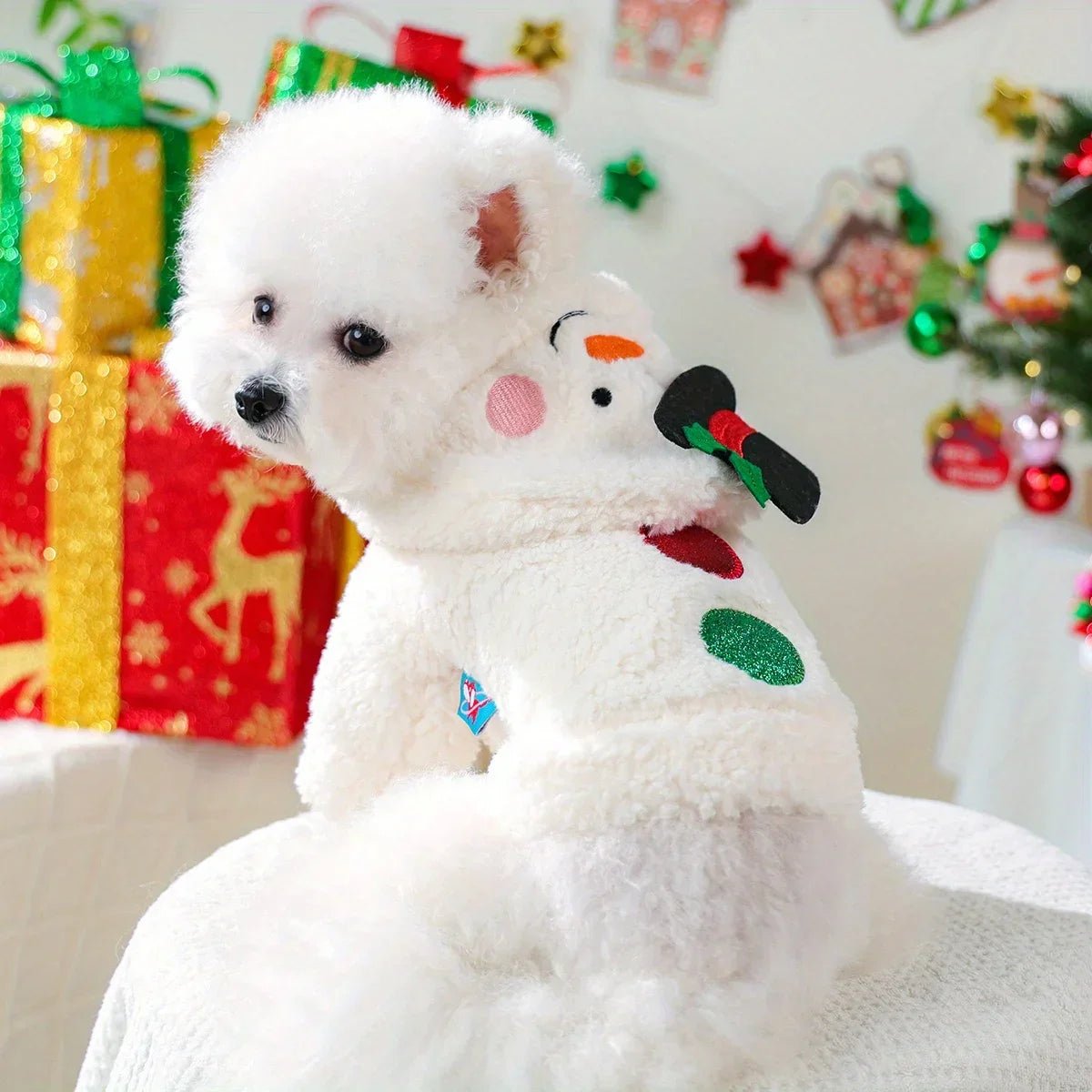 Snowman Velvet Hoodie – Small Pets - VarietyVibe Shop