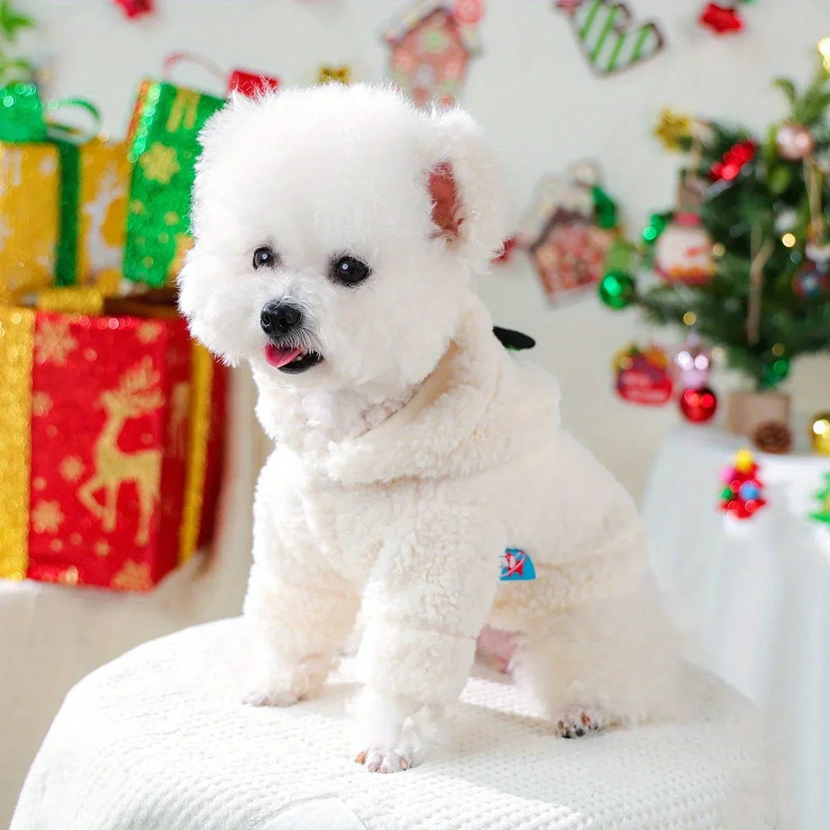 Snowman Velvet Hoodie – Small Pets - VarietyVibe Shop